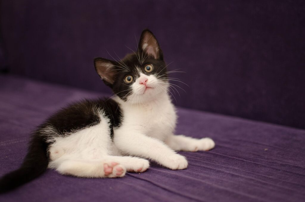 新NISAでファンドの乗り換えルールを知っておくべきポイントは？