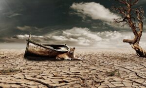 新NISAで年間非課税上限はいくら？