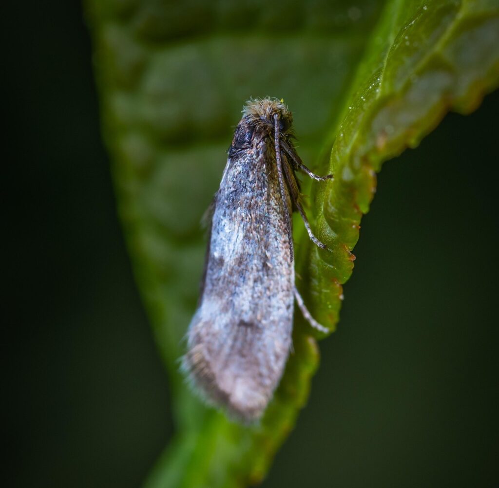 新NISAを活用した三井住友カードの積立方法とは？
