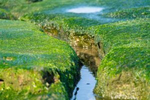 新NISAで始めるESG ETF投資のメリットとは？