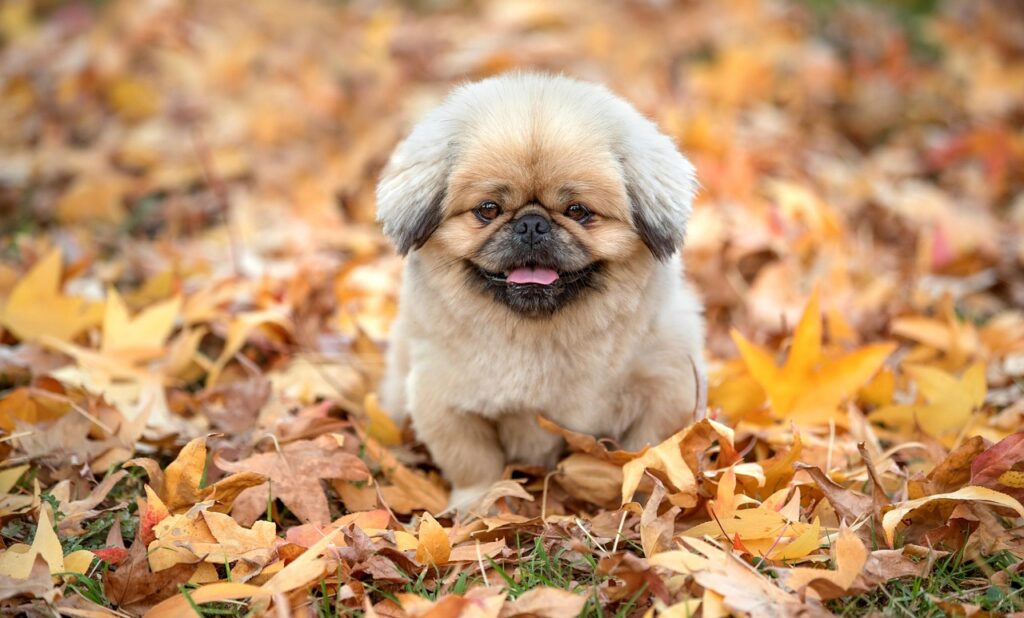 新NISAの年間上限はいくらになるのか？