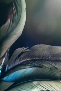 新NISAの上限はどのように設定されているのか？