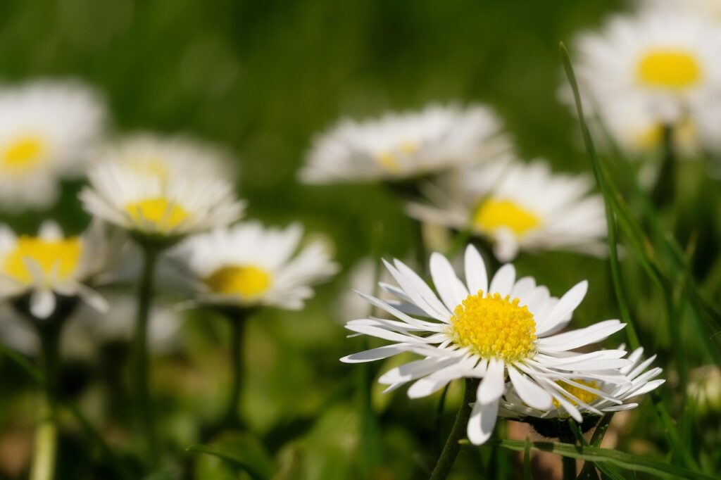 積立NISAで毎月の投資額を上限に設定するメリットは？