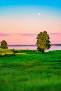 積立NISAの月上限はいくらまで可能ですか？