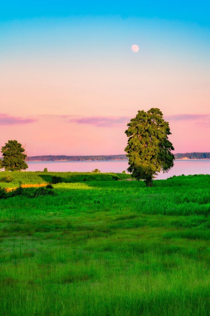 積立NISAの月上限はいくらまで可能ですか？