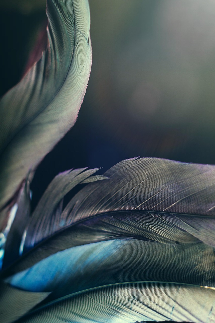 新NISAで成功した体験談とは？