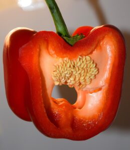 新NISAの非課税仕組みについて知っておくべきポイントは？