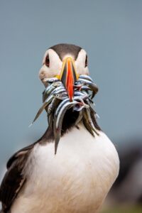 新NISAの積立シミュレーションで将来の資産形成をどう考えるべき？