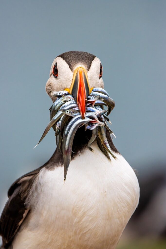 新NISAの積立シミュレーションで将来の資産形成をどう考えるべき？