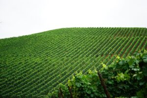 新NISAを活用した老後資金作りのポイントは？