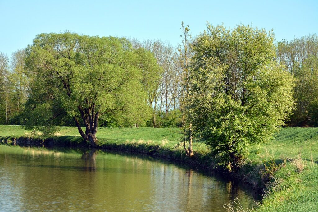 新NISA初心者が陥りやすい失敗例とは？