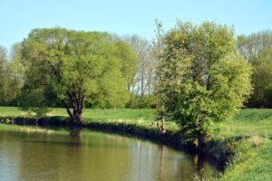 新NISA初心者が陥りやすい失敗例とは？