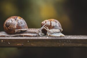 新NISAのつみたて完全マニュアルはこれで決まり？